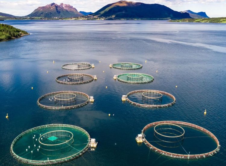 Hydrex Research Center Environmental assessment of the global fish farm industry